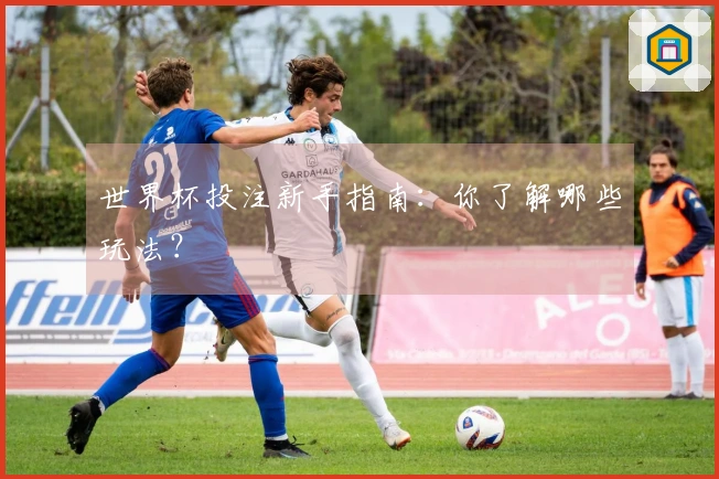 世界杯投注新手指南：你了解哪些玩法？