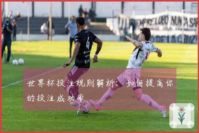 世界杯投注规则解析：如何提高你的投注成功率