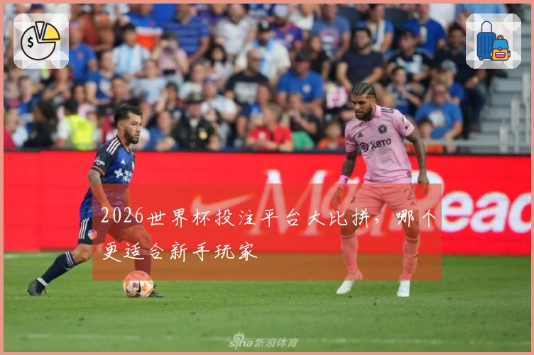 2026世界杯投注平台大比拼，哪个更适合新手玩家