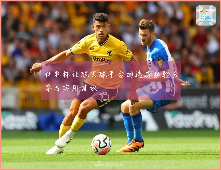 世界杯让球买球平台的选择经验分享与实用建议
