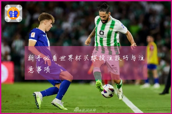 新手必看世界杯买球投注技巧与注意事项