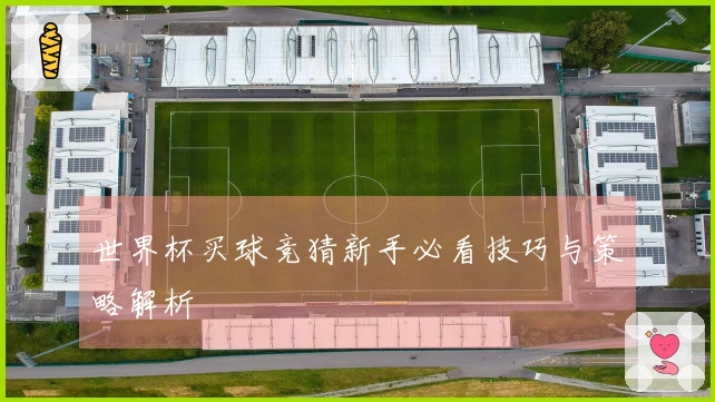 世界杯买球竞猜新手必看技巧与策略解析