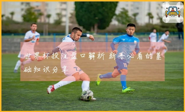 世界杯投注盘口解析 新手必看的基础知识分享